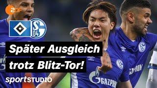 HSV – Schalke 04 Highlights | 2. Bundesliga, 18. Spieltag | sportstudio