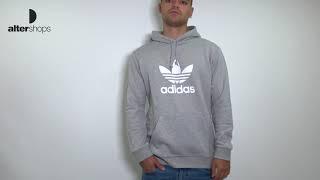 adidas Originals Trefoil Hoodie DT7963