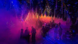 Tinsel, trees and techno beats: Christmas light show inspired by nightclub culture opens in Berlin