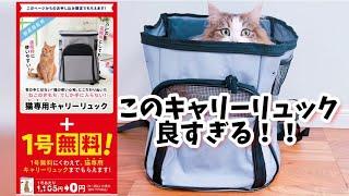 ねこのきもちの付録良すぎる！うさぎも猫も大満足な品々でしたよ^ ^4猫とうさぎの暮らし