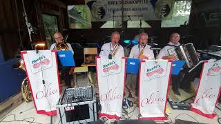 Die OLDIES beim 14. Musikheurigen am See