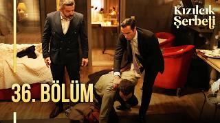 Kızılcık Şerbeti 36. Bölüm  @showtv