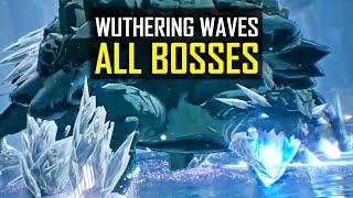 Wuthering Waves All Bosses Preview and Concerto Effects