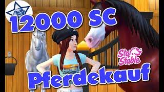 Pferdekauf für 12000 SC! STAR STABLE ONLINE 