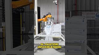 De-Palletizing Unpacking & Feeding  #palletizer #depalletizing #automation #manufacturer #robot