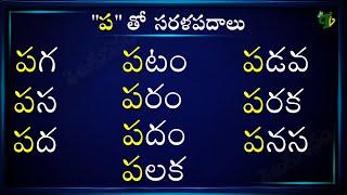 Sarala Padalu with Pa #Hallulatho Sarala padalu | హల్లులతో సరళ పదాలు | Hallulu Sarala padalu telugu