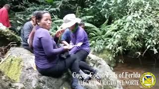 The Cogon-Cogon Falls of Ferlda