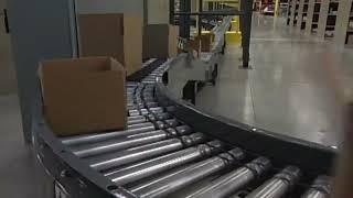 Motor Driven Roller (MDR) Case Conveyor System | Honeywell Intelligrated