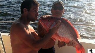 Fishing For Red Snapper In The Gulf of Mexico