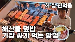 내 마음대로 해산물 덮밥을 털어볼까? (도호쿠 ep1)