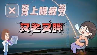 「腎上腺疲勞」讓你又老又胖》停止衰老和癡呆｜現代人健康最大的殺手