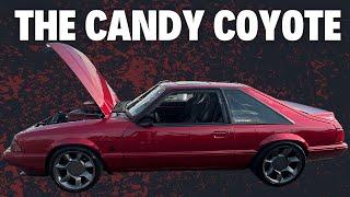 Candy Red Coyote Swap Foxbody