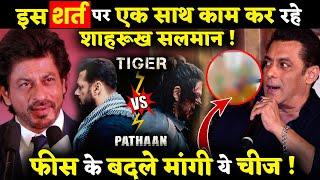 Tiger Vs Pathaan: Shahrukh Khan And Salman Khan To Get  _% Profit Share? Here's What We Know