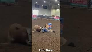 barrel racing accidents 