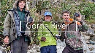 Gorge River | Collecting Paua with Robert Long | Beansprout | Wild Kiwi Adventurer