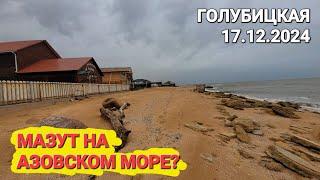 Мазут на Азовском море? #Голубицкая Срочные новости. 17.12.2024