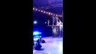 diving show