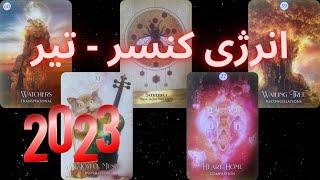 انرژی خوانی 2023 کنسر - تیرماهی ها - موناسترو