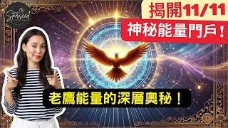 1111能量門戶開啟！揭示11月11日老鷹能量與深層療癒冥想指南 #中文字幕 #englishsubtitles