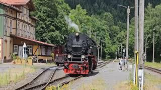 Im Harz ist es wieder grün - Juni 2024 Harzer Schmalspurbahnen