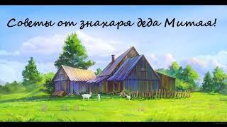 Советы от знахаря-травника  деда Митяя!#советы травника#