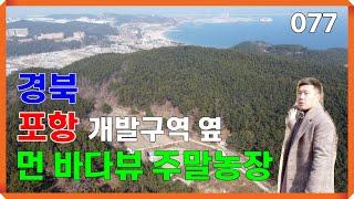 포항 여남동 바다가 살짝 보이는 주말농장 토지매매 | 077