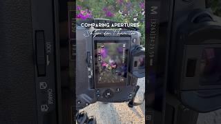 Aperture is  #aperture #photographytips #photographytipsandtricks #photographytricks #photoshorts