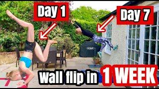 Teaching Myself To Wall flip In 7 DAYS!