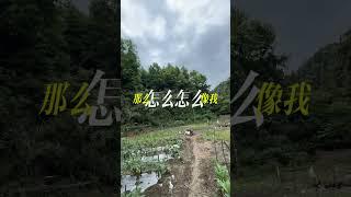 一个人可以吃苦，但是两个人不行，不然会以为苦是对方带来的