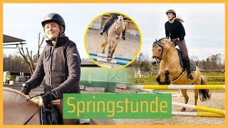 ️ Hüpft kleine Ponys, hüpft!  Springstunden-Vlog // Blondis auf Fjordis