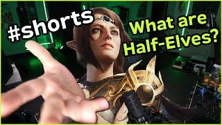 What is a Half Elf in D&D?