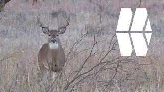 | Texas Deer Hunting | "Home Creek" | My World Outdoors | SEASON 1