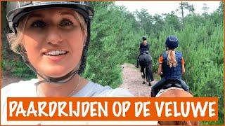 Keihard galopperen op de Veluwe | PaardenpraatTV