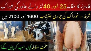 Farmer ne 25 aur 40 L cow ka wanda bnaya II Feed formulation II Dr. Muzzammil Hassan