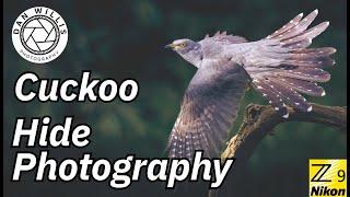 Cuckoo Hide - Leeds Wildlife Photography Hide