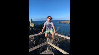 Aidan finds sun, sand and SHARKS on this Amazing Adventure to the Galapagos Islands!!