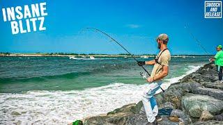 INSANE INLET BLITZING BLUEFISH MIDDAY Fall Run Surf Fishing Long Island - IN SEARCH OF STRIPED BASS