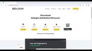 How to Customize and Setup SOCKS5 or HTTP Proxy on GoLogin Browser