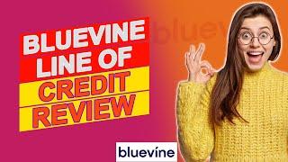 Bluevine Line of Credit Review - Is It Worth It? (Pros & Cons Of Bluevine Line Of Credit)