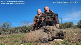 ARCHERY HOG HUNT @ HEART OF TEXAS  BOWHUNTING MELVIN TEXAS LOTS OF ACTION ON THIS HUNT FOR DICK KORN