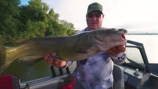 "Catfish and Cattails"  Prairie Sportsman 1602 | Promo