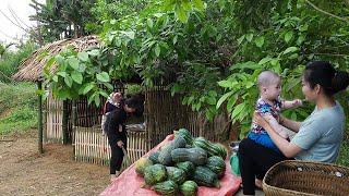 30 Days: 18 Year Old Single Mom - Build Bamboo House with Her Children, Harvest & Raises Her Child