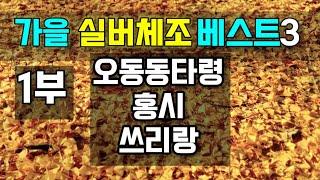 [실버체조]가을맞이 실버체조영상 모음 1부