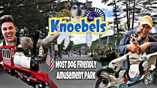 Knoebels Amusement Park Is Going To The Dogs