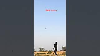 Pech Dekho | Patang Bazzi | Kite Flying #kiteflyinglover #kiteflying