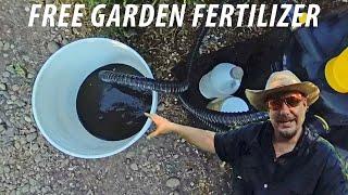 This Fish Pond Filtration System Works Amazingly Well!