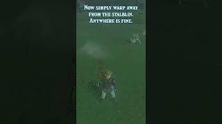 How to Duplicate Weapons in 1.2.1 Tears of the Kingdom