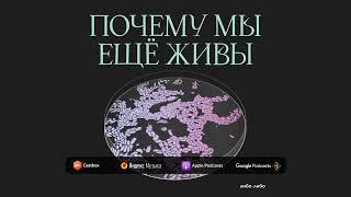 Мелочи жизни: как мы узнали, что микробы убивают | Подкаст Почему мы ещё живы