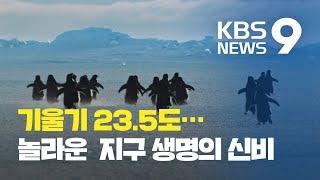 기울기 23.5도가 빚어낸 놀라운 생명의 기적 / KBS뉴스(News)