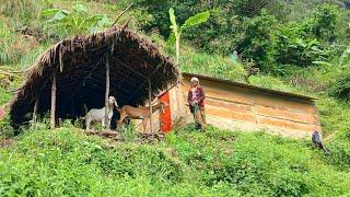 peaceful and Natural Himalayan Nepali village life ||daily activities in people of mountain village